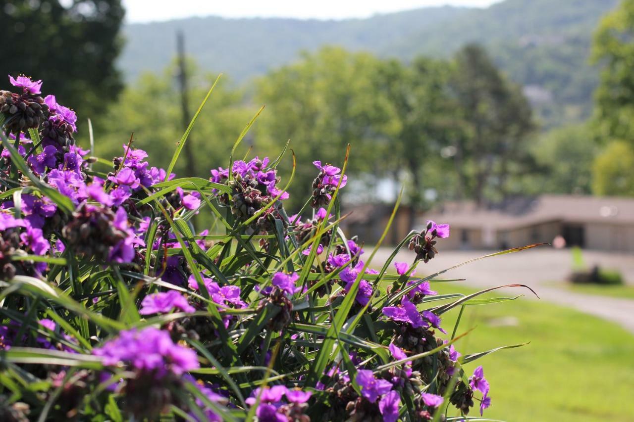 Mill Creek Resort On Table Rock Lake Lampe Экстерьер фото